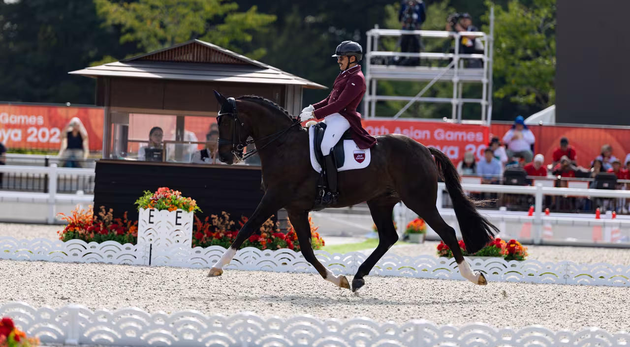 dressage