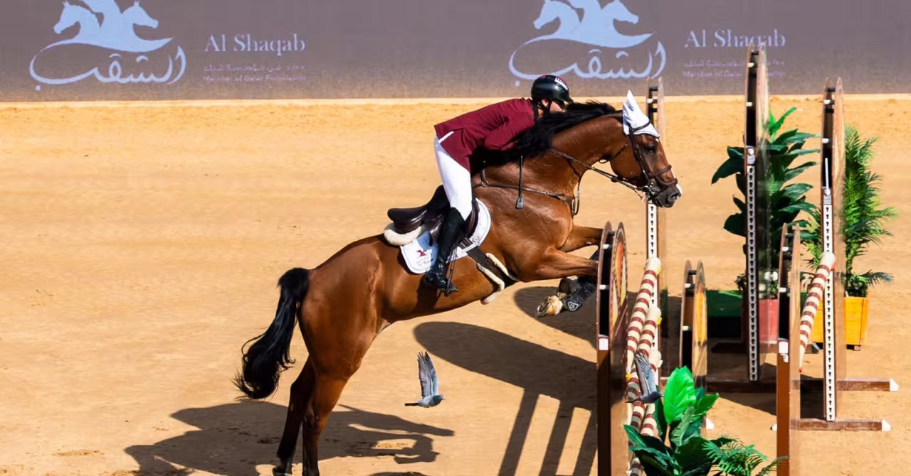 showjumping