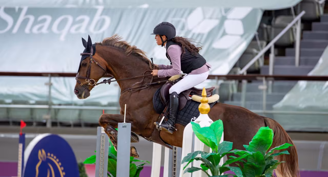 showjumping