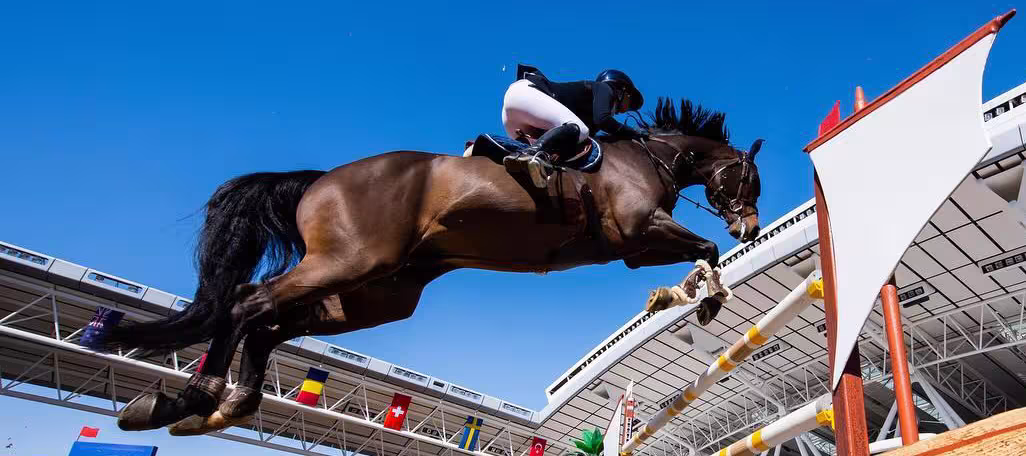 showjumping