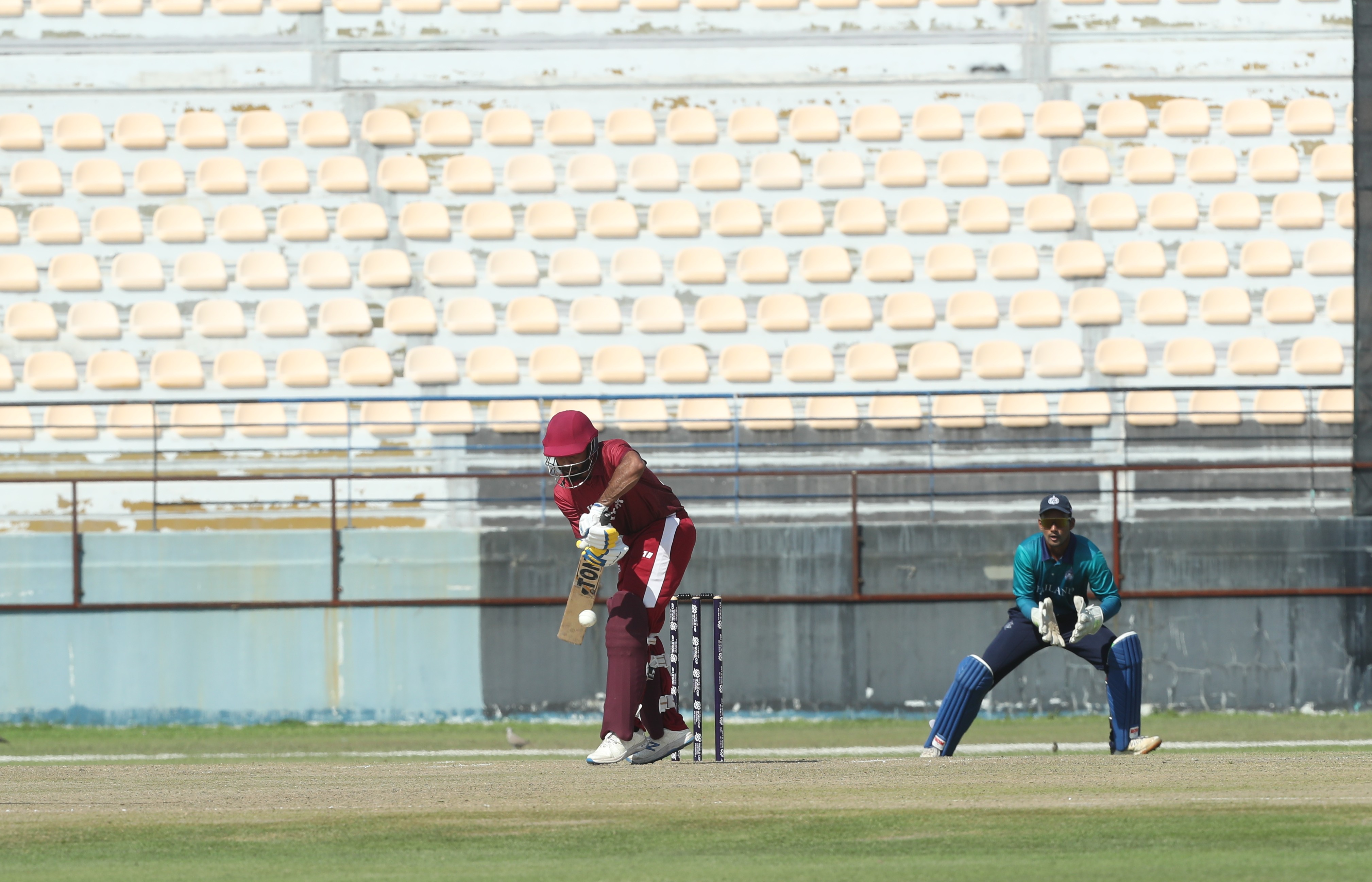 cricket